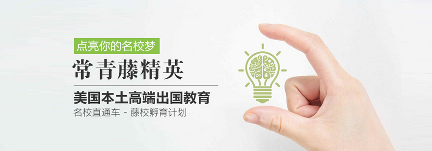 武汉常青藤精英教育总部实景