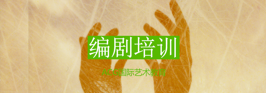 编剧职业发展路径