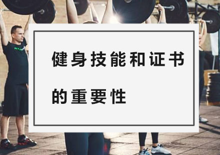 健身教练职业发展双引擎：专业技能与权威认证解析