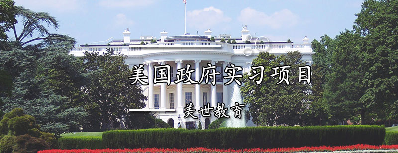 美国实习工作场景