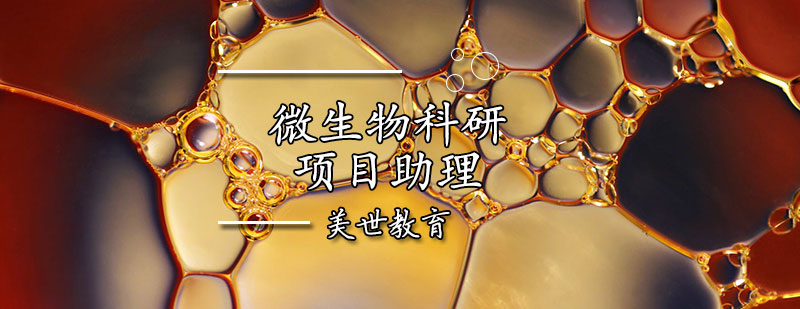 微生物实验操作