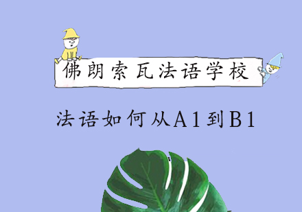 法语进阶全解析：从A1到B1学习路径深度解读