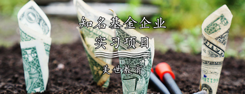 金融实战项目