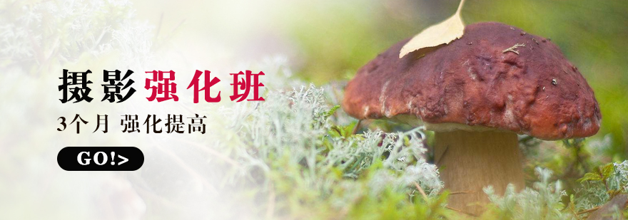 摄影教学实景