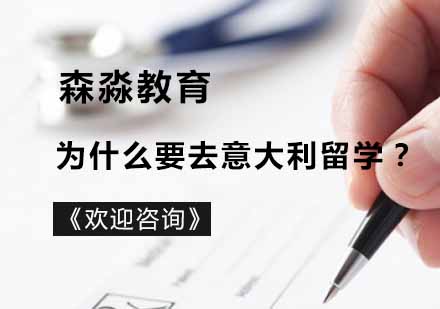 意大利艺术留学深度解析