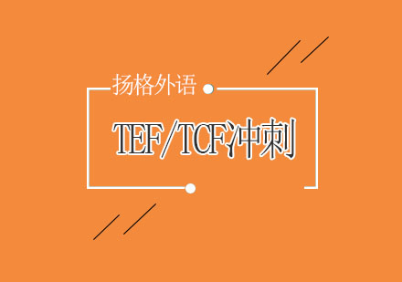 哈尔滨TEF/TCF冲刺