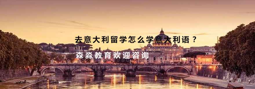 语言学习环境