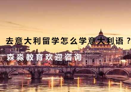 意大利语深度学习方法全解析