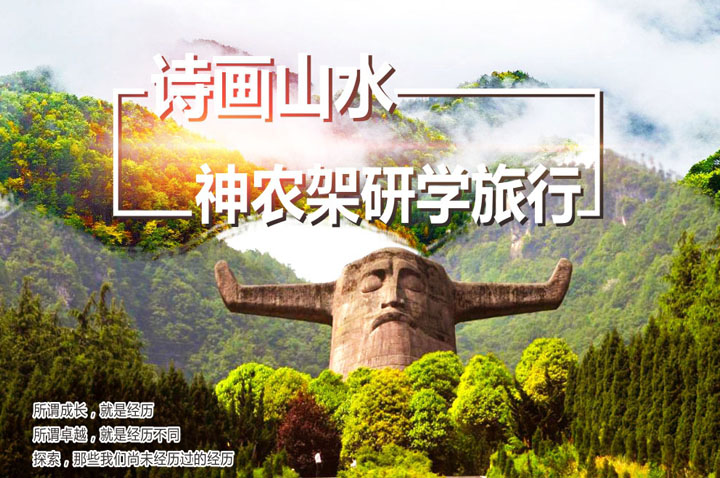 神农架原始森林全景