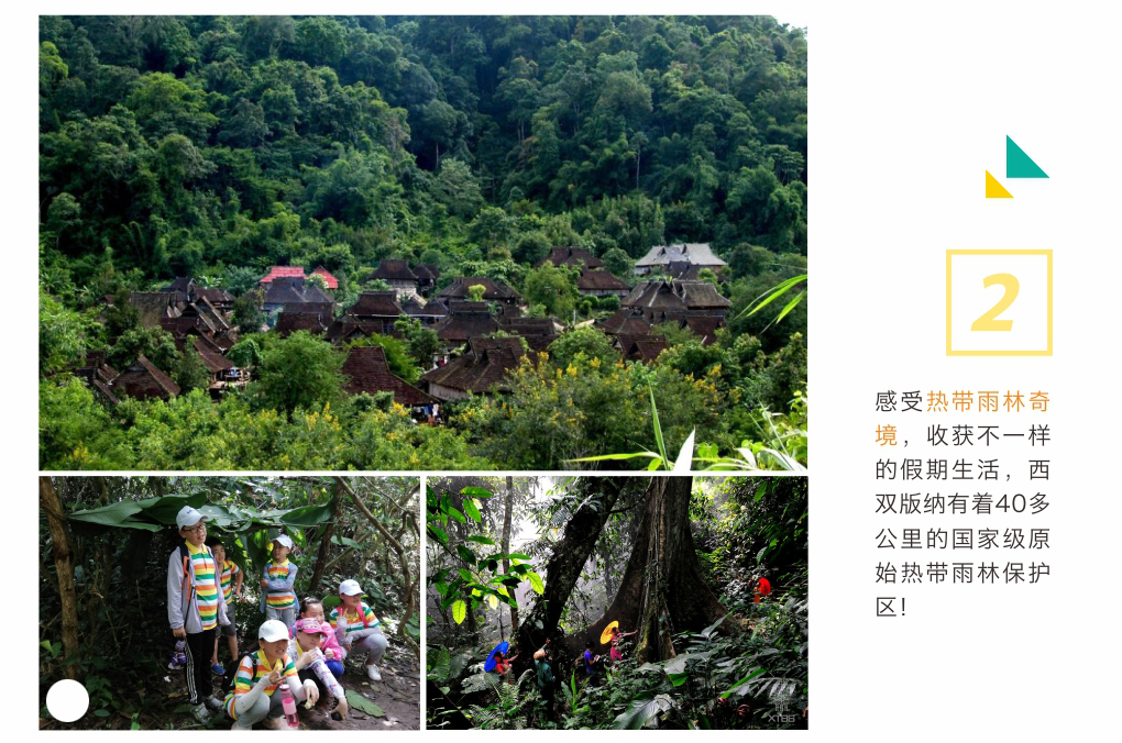 科研实践教学