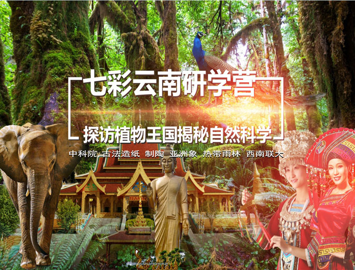 云南研学行程实拍