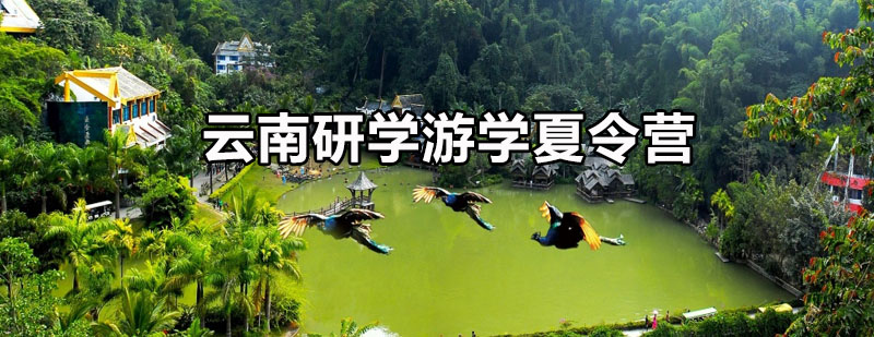 云南研学行程路线图