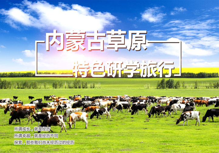 草原研学活动