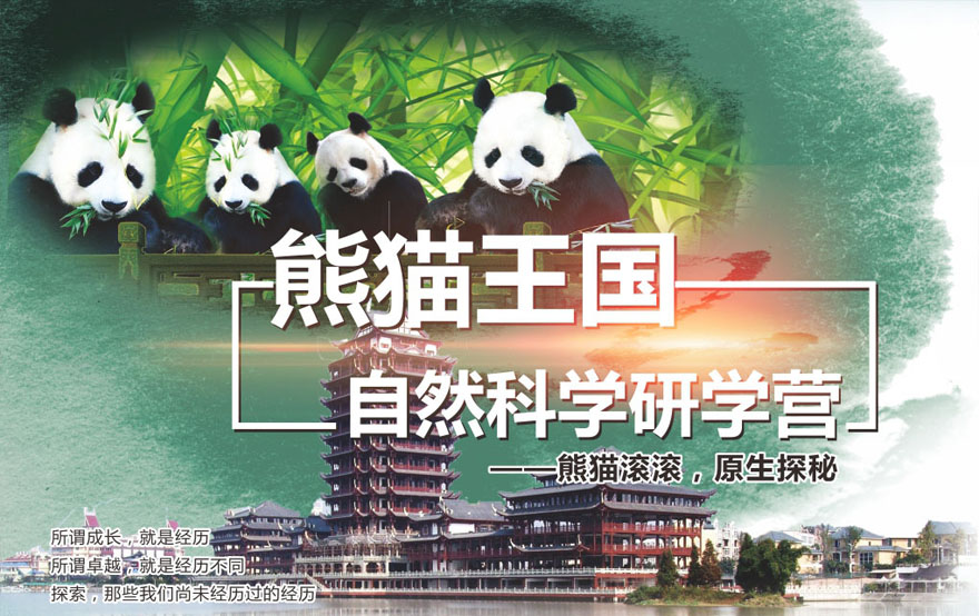 大熊猫生态观察实践