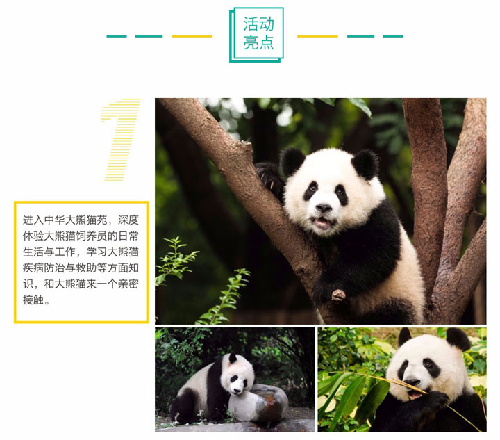 大熊猫科研设备操作