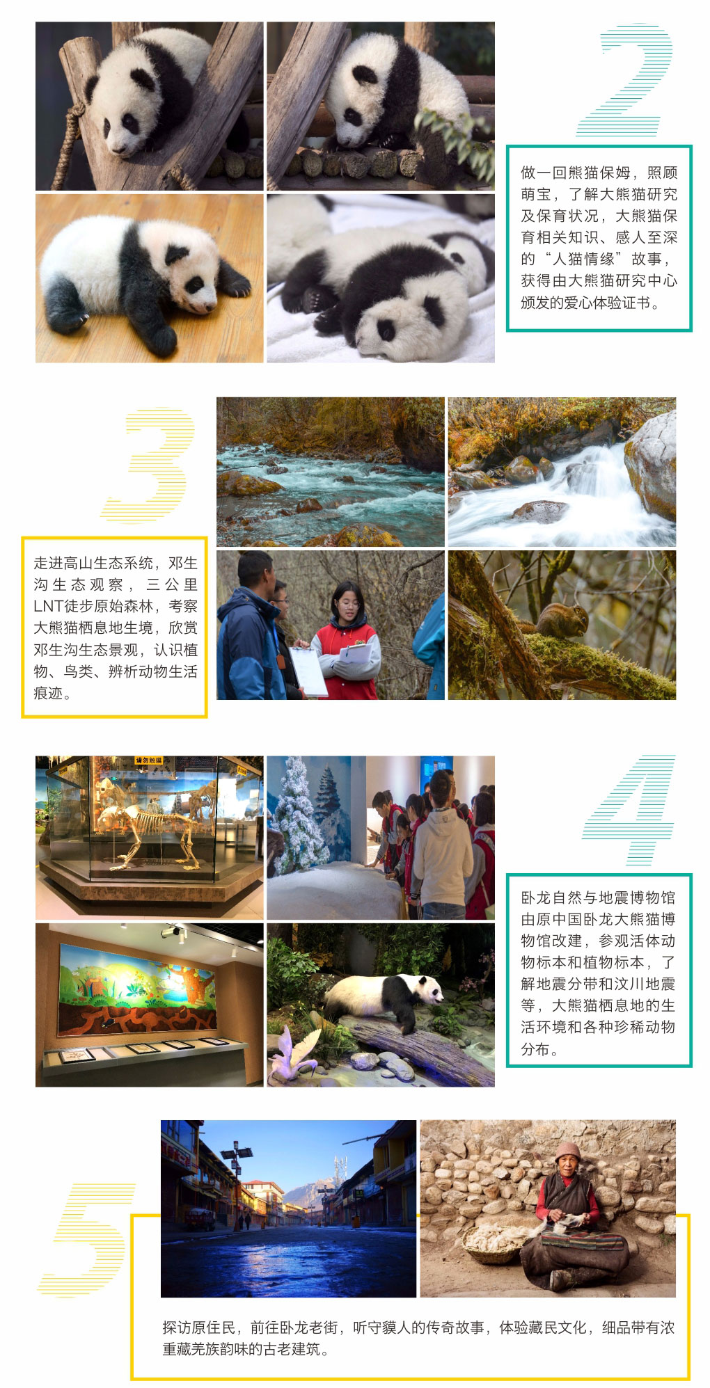 研学营报名流程