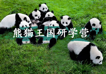 熊猫王国自然科学研学营