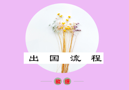 法国留学全攻略：从语言准备到签证办理的完整指南
