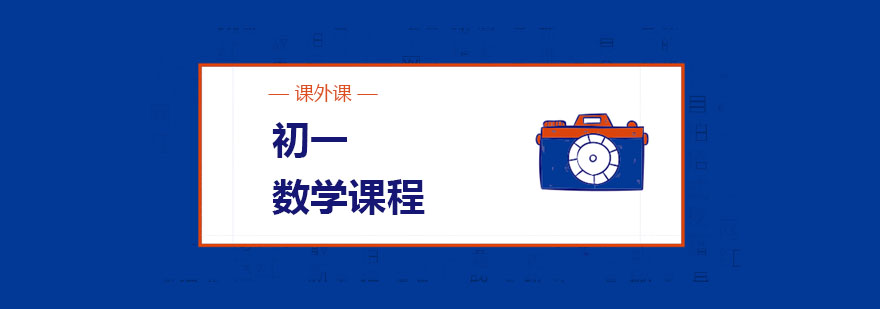初一数学专项辅导