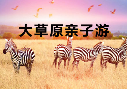 非洲大草原动物迁徙+海岛亲子游