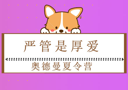 奥德曼教师职业行为准则深度解析
