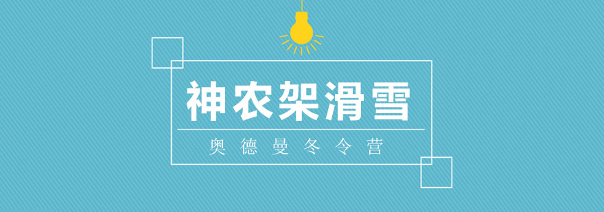 滑雪冬令营学员训练实拍