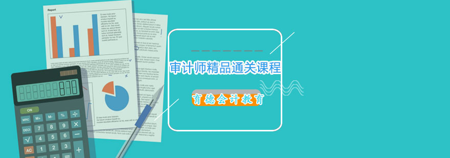 审计实务操作演示