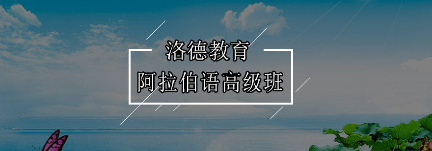 佛山阿拉伯语高级班