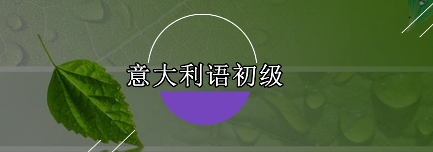 意大利语课堂实景