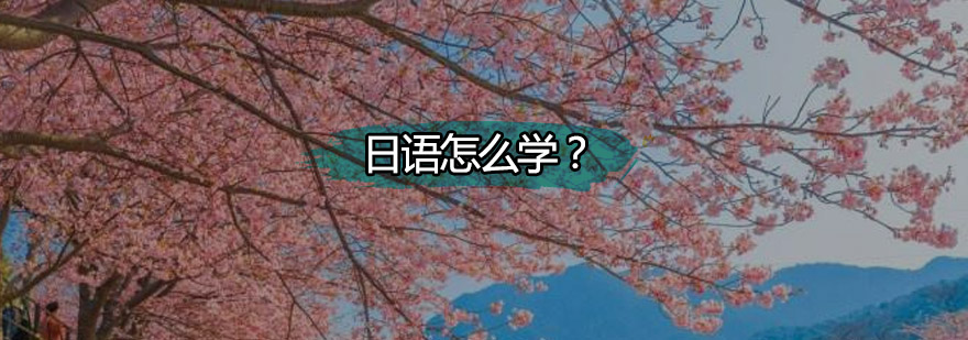 日语学习路径