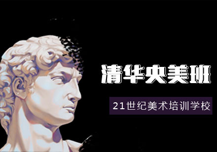 清华央美班