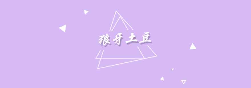 食尚香小吃教学现场