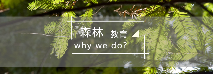 国际教育课堂实景