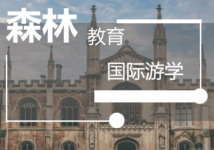 国际夏令营成长优势深度解析