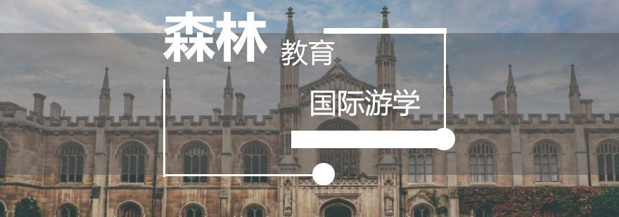 国际夏令营活动场景
