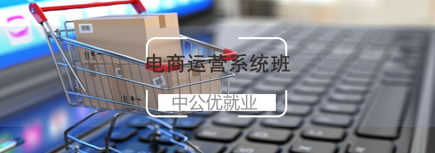 电商运营系统班课程体系