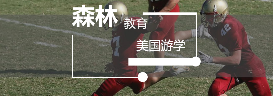 国际游学安全保障体系