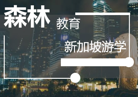 新加坡国际游学深度解析