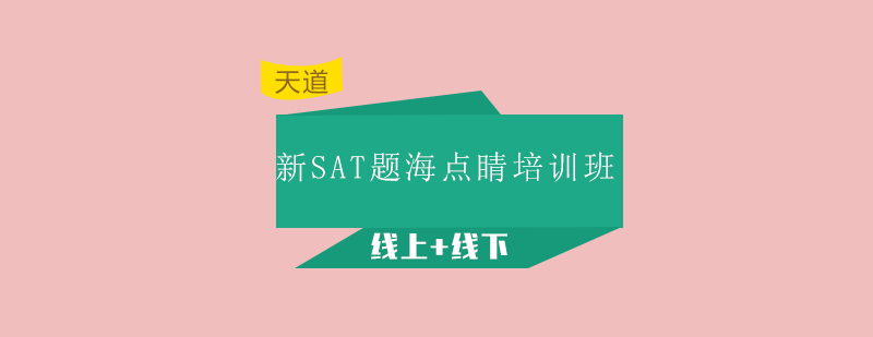 广州新SAT题海点睛培训班