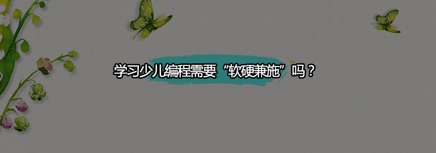 编程软硬教学对比