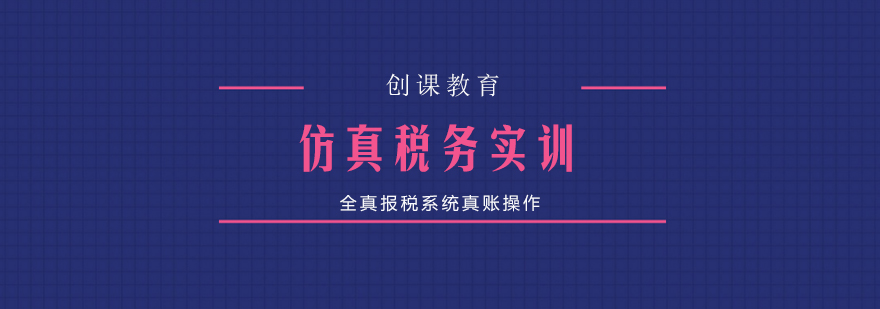 税务系统实操界面