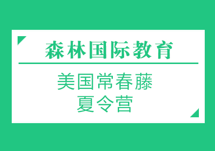 美国常春藤夏令营