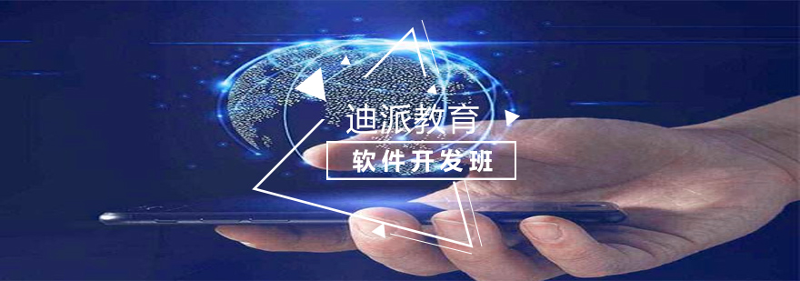 软件开发项目实战