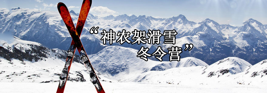 滑雪训练实景