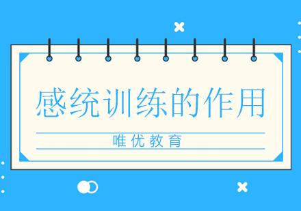 感统训练多维效能解析