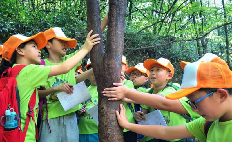 学员风采