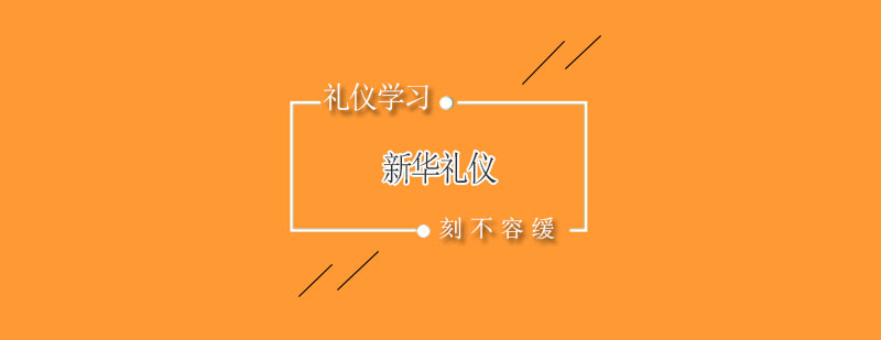 新华礼仪课程主图