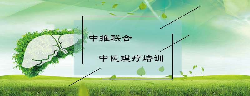 中医经络诊疗技术示意图