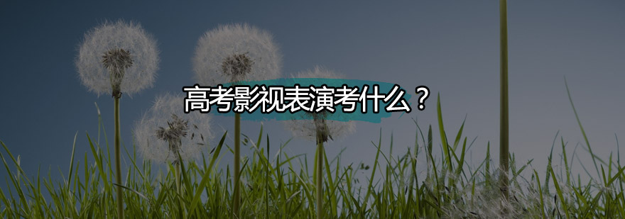 声乐训练示意图