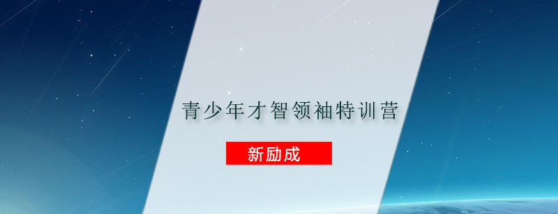 特训营课堂实景